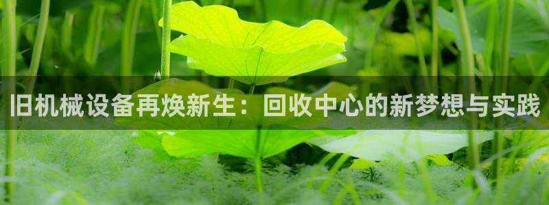 焦作鸿运招人信息平台