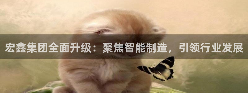 鸿运开户平台