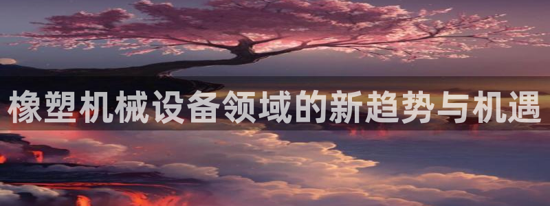 盛世鸿运是什么平台