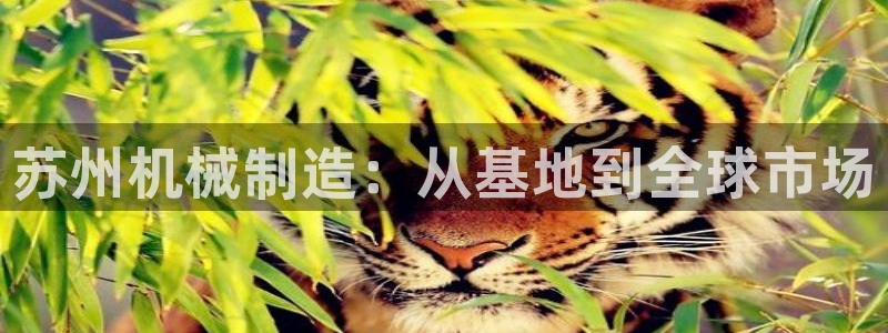 鸿运当头网贷平台