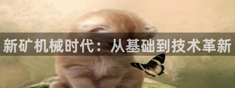 游戏鸿运平台网站