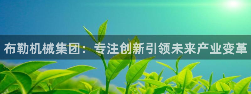 鸿运平台平台