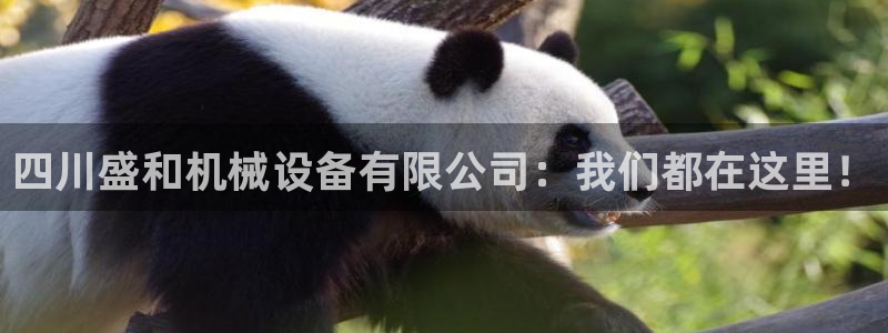 鸿运到游戏平台