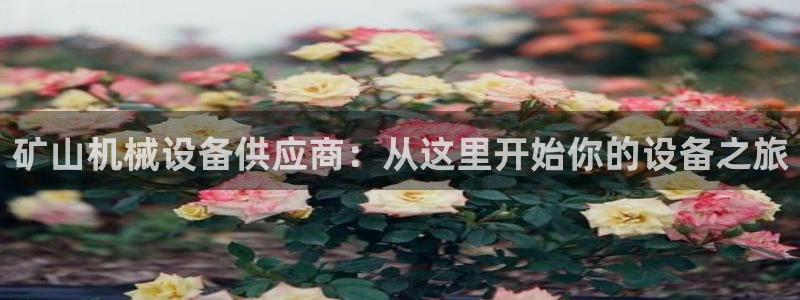 鸿运直播平台污