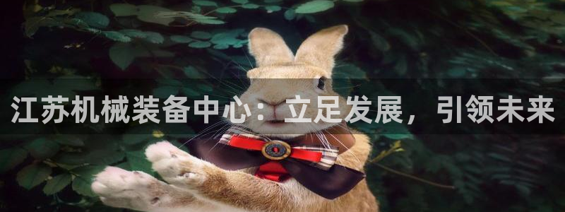 鸿运平台刷单