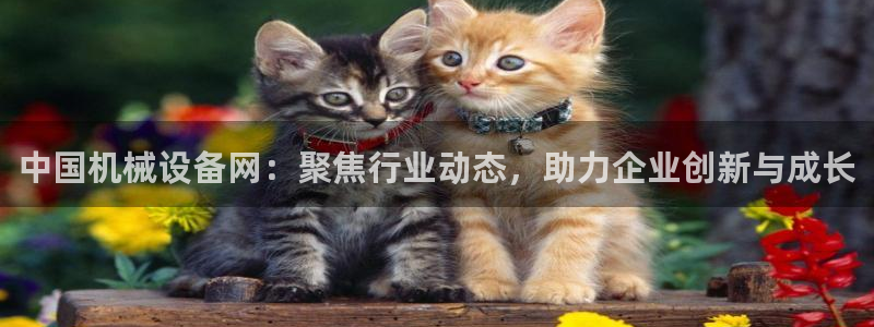 鸿运国际黑平台