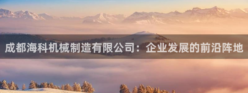 鸿运最新平台叫什么