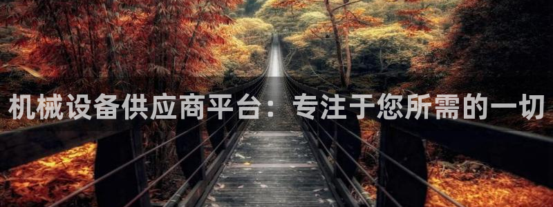 ZJ鸿运平台