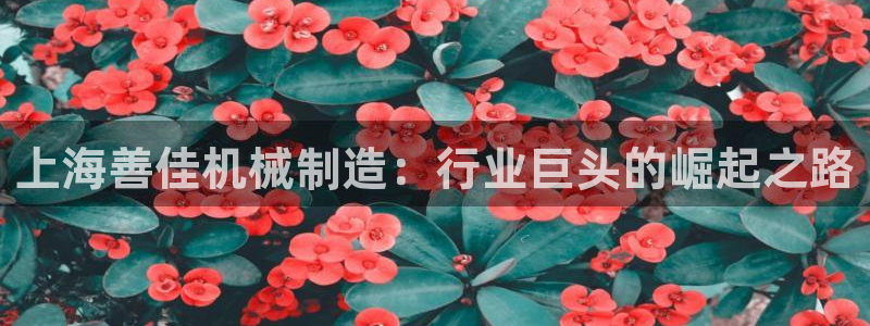 鸿运农场直播平台
