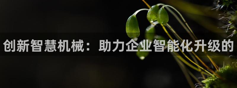 鸿运平台投资诈骗事件