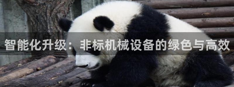 鸿运工厂直播平台