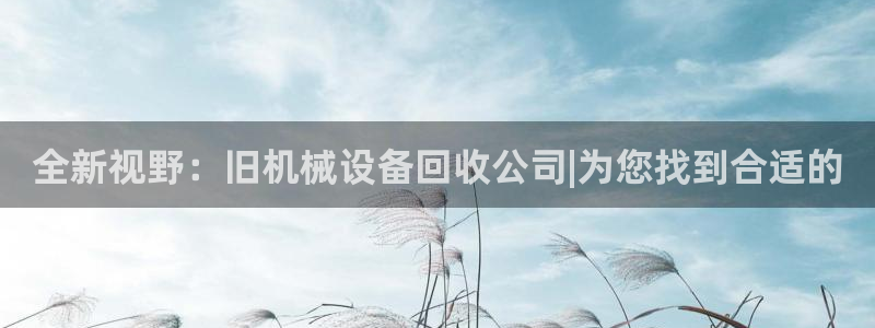 鸿运阿姨直播平台