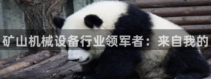 鸿运瓦罐团购平台