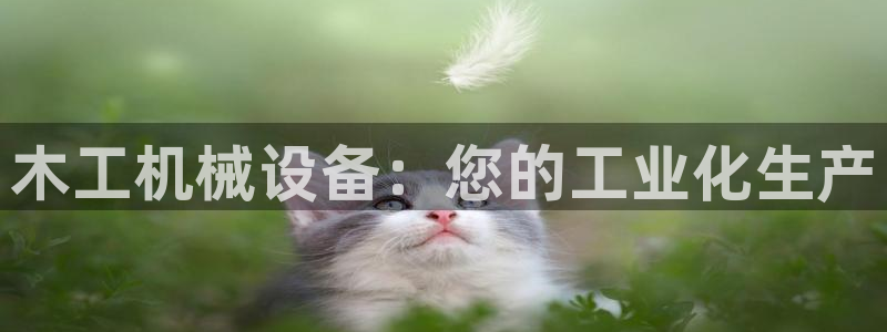 琥珀鸿运彩票平台靠谱吗