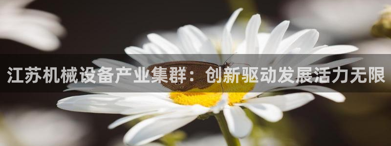 鸿运是什么平台