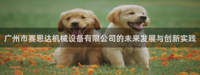 双平台鸿运当头