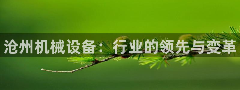 鸿运彩 票诈骗平台