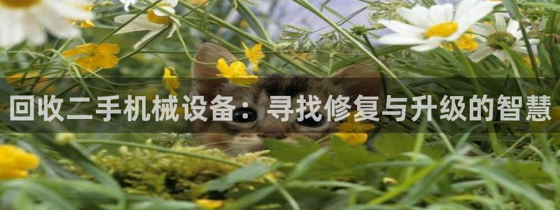 鸿运策略股票平台