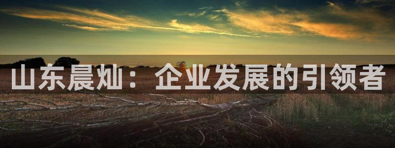 鸿运链锁管理平台