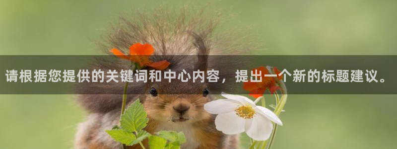 鸿运来是什么平台