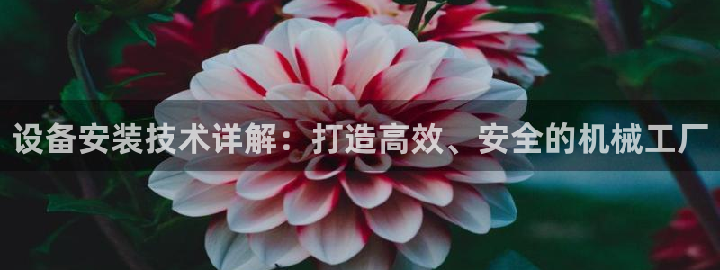 鸿运茶叶平台被骗