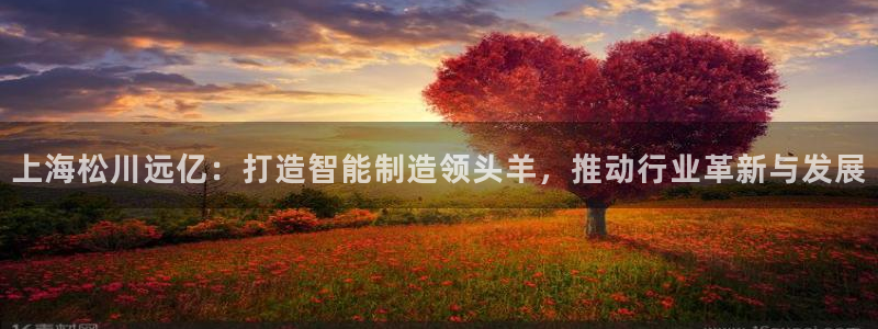 铜陵鸿运拍卖平台