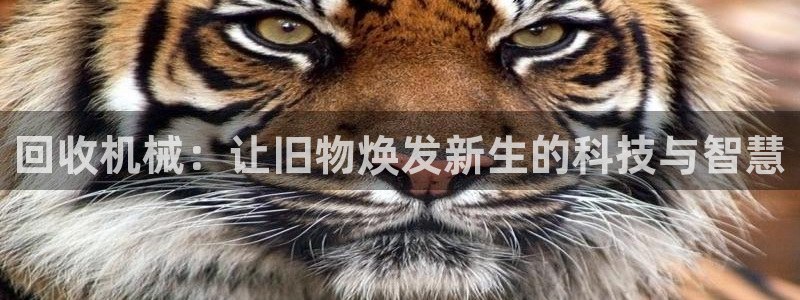 铜陵鸿运拍卖平台
