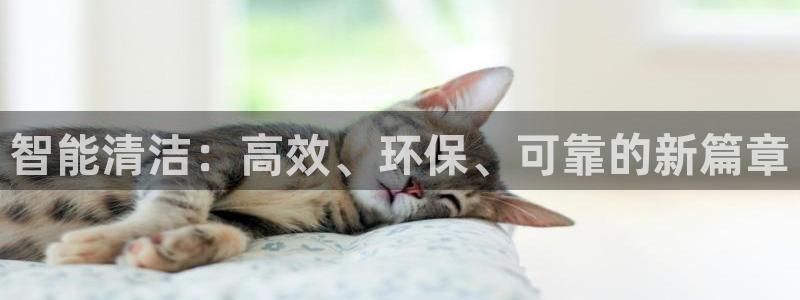 鸿运在线是什么平台