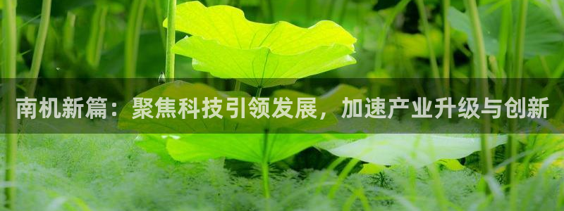 鸿运棋牌平台下载