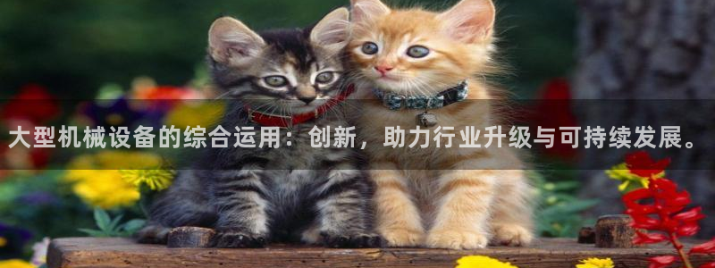 鸿运平台骗局揭秘