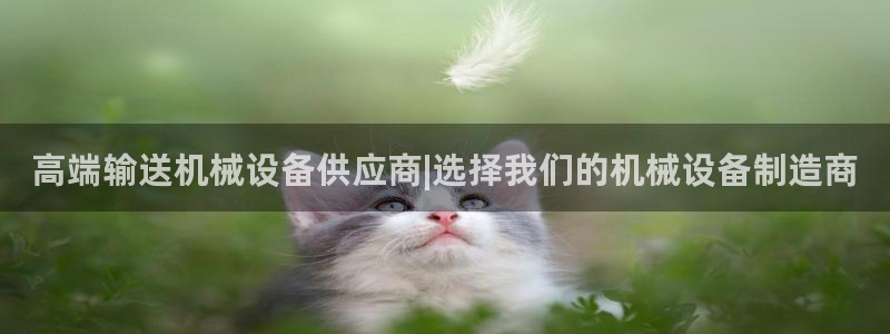 鸿运平台骗局曝光案例