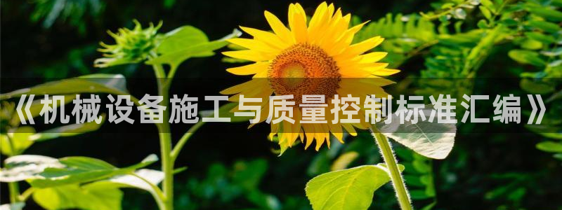 鸿运福星平台