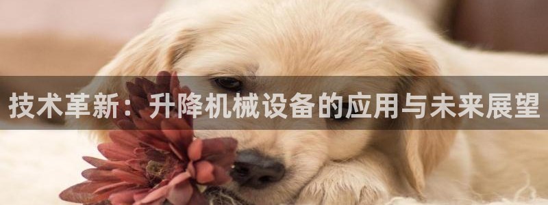 鸿运农场直播平台