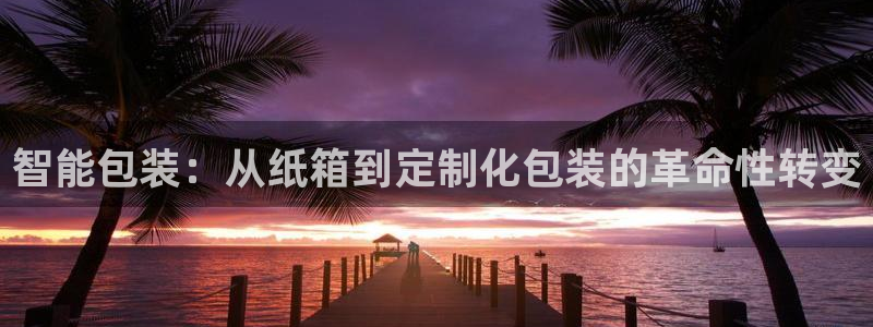 鸿运北斗监控平台
