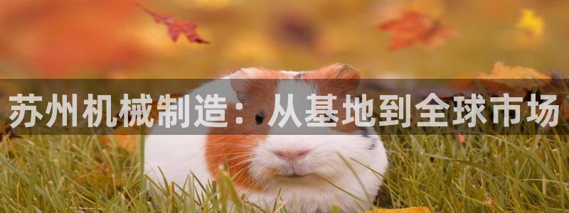 鸿运街物业平台