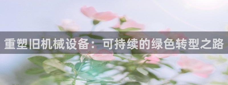 鸿运华宁技术平台