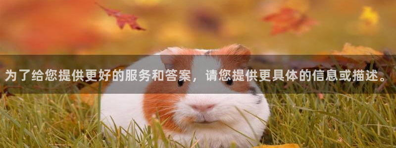 鸿运充值平台