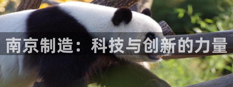 鸿运平台注册流程