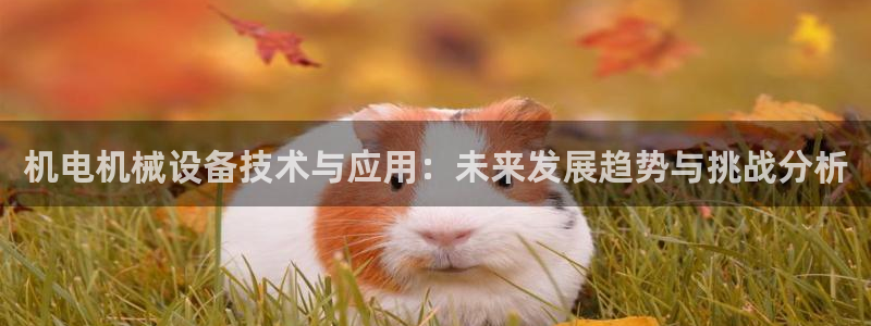 鸿运推广平台代理