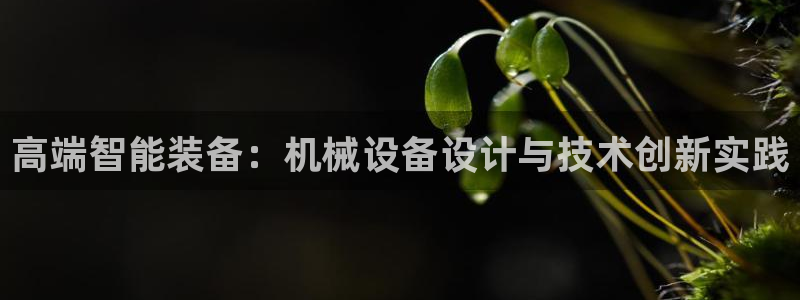 鸿运在线投资平台