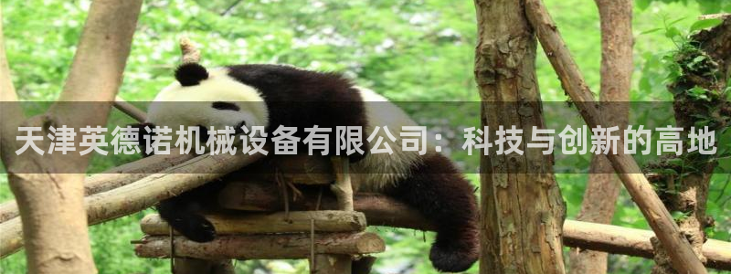 鸿运平台被骗事件